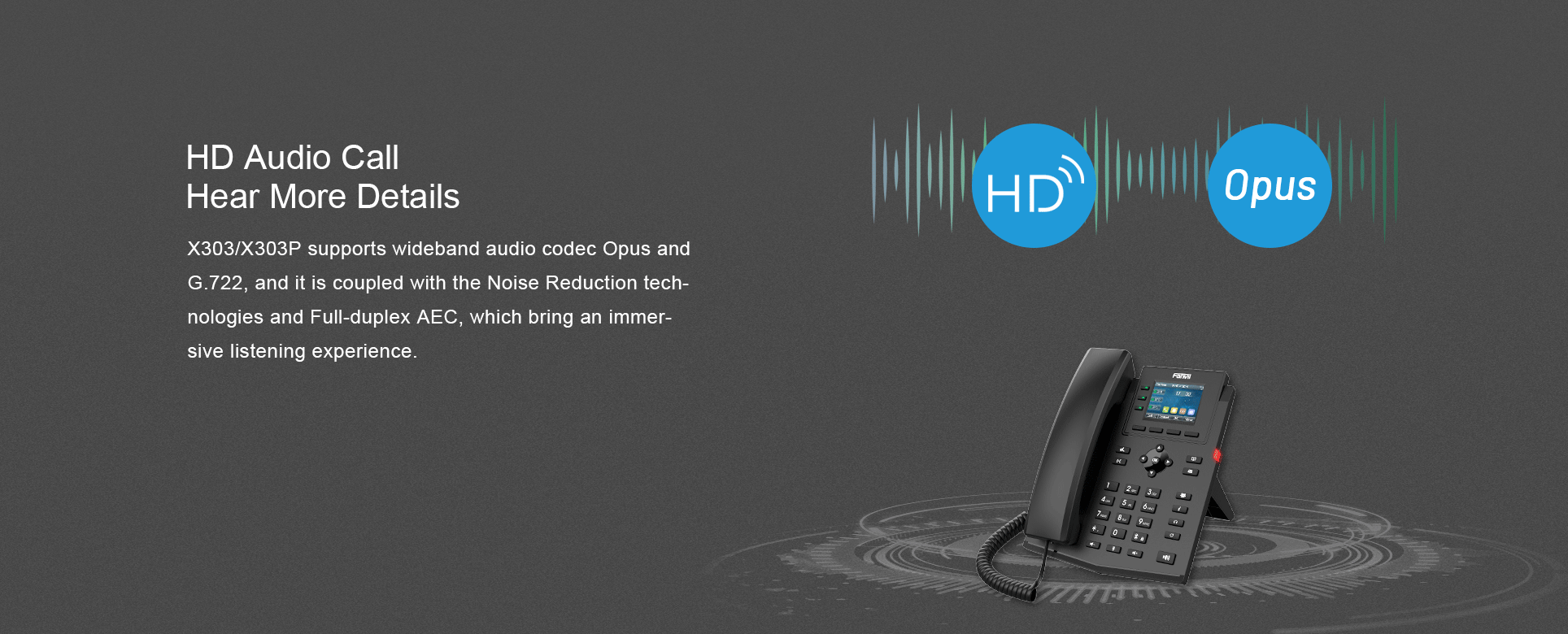 FANVIL X303P Entry-Level IP Phone