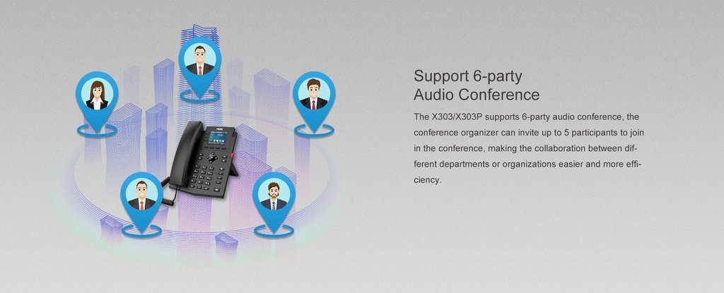 FANVIL X303P Entry-Level IP Phone