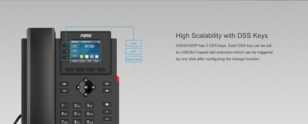FANVIL X303P Entry-Level IP Phone